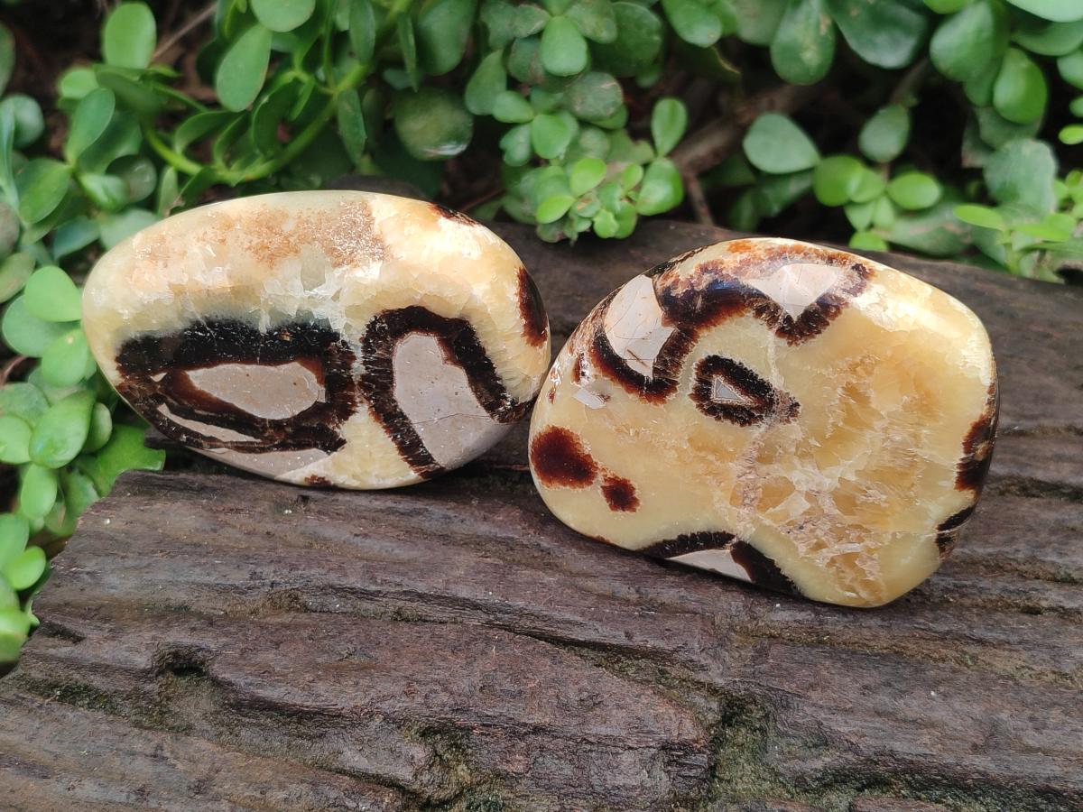 Polished Septerye Slices x 12 From Mahajanga, Madagascar - Toprock Gemstones and Minerals 