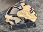 Polished Septerye Slices x 12 From Mahajanga, Madagascar - Toprock Gemstones and Minerals 