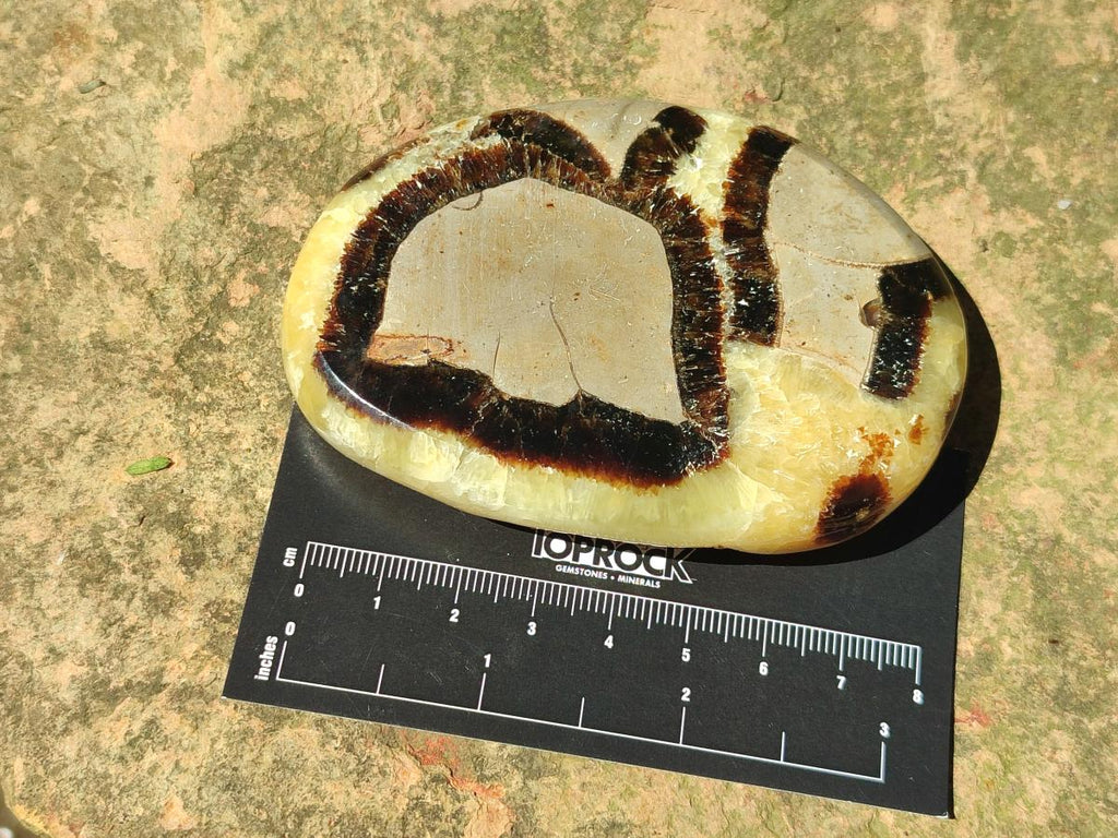 Polished Septerye Slices x 12 From Mahajanga, Madagascar - Toprock Gemstones and Minerals 