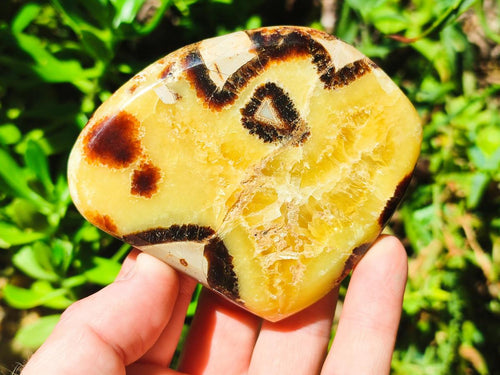 Polished Septerye Slices x 12 From Mahajanga, Madagascar - Toprock Gemstones and Minerals 