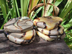 Polished Septerye Slices x 12 From Mahajanga, Madagascar - Toprock Gemstones and Minerals 