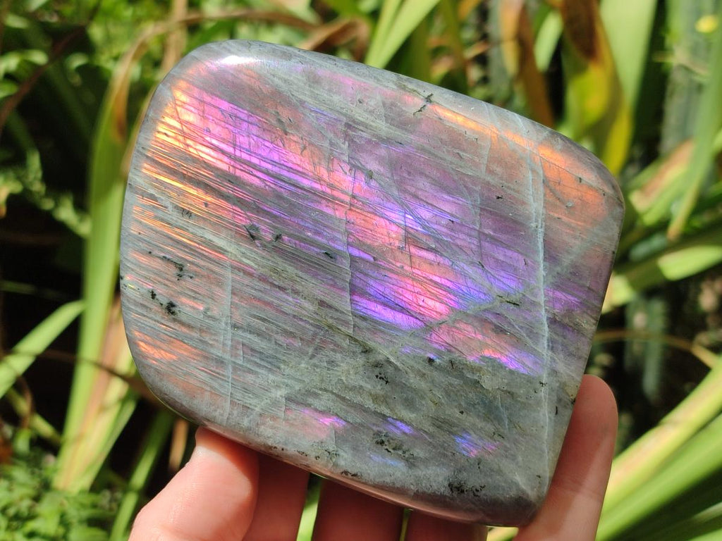 Polished Rare Purple Sunset Flash Labradorite Standing Free Forms x 3 From Madagascar - Toprock Gemstones and Minerals 