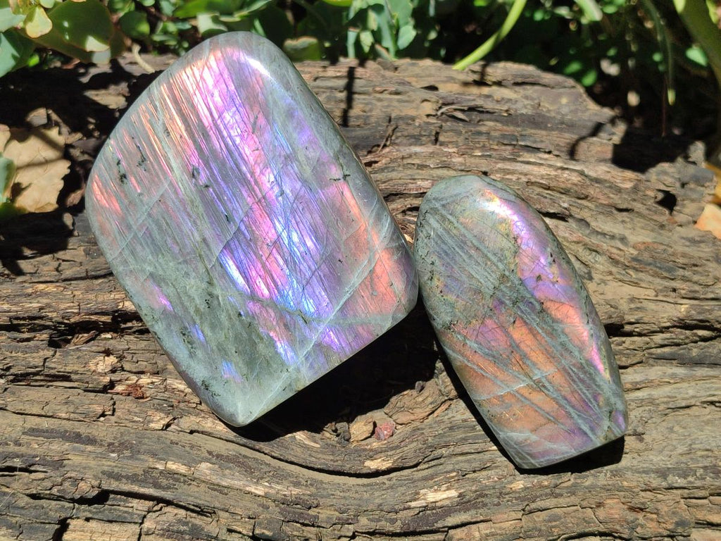 Polished Rare Purple Sunset Flash Labradorite Standing Free Forms x 3 From Madagascar - Toprock Gemstones and Minerals 