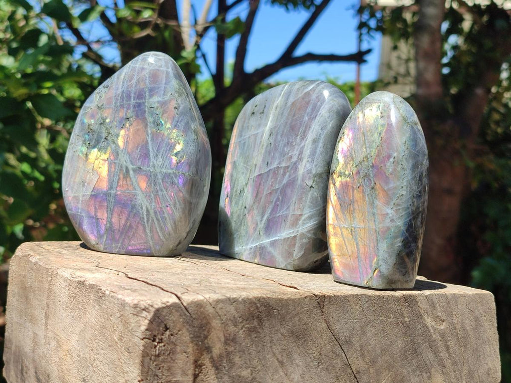 Polished Rare Purple Sunset Flash Labradorite Standing Free Forms x 3 From Madagascar - Toprock Gemstones and Minerals 