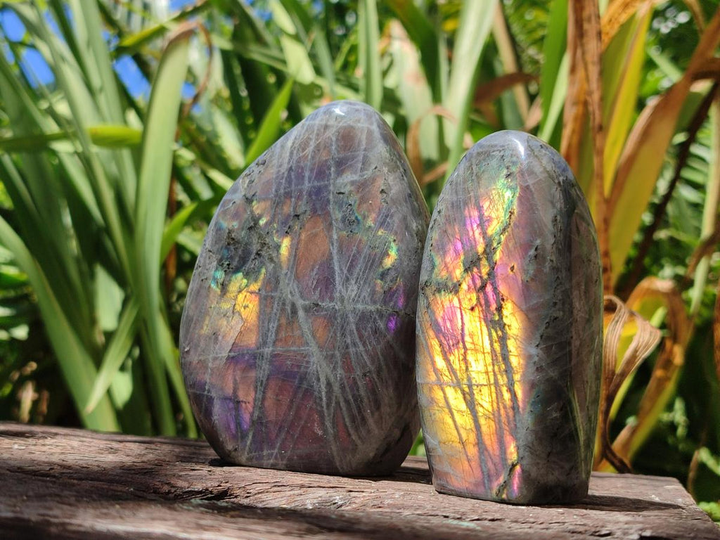 Polished Rare Purple Sunset Flash Labradorite Standing Free Forms x 3 From Madagascar - Toprock Gemstones and Minerals 