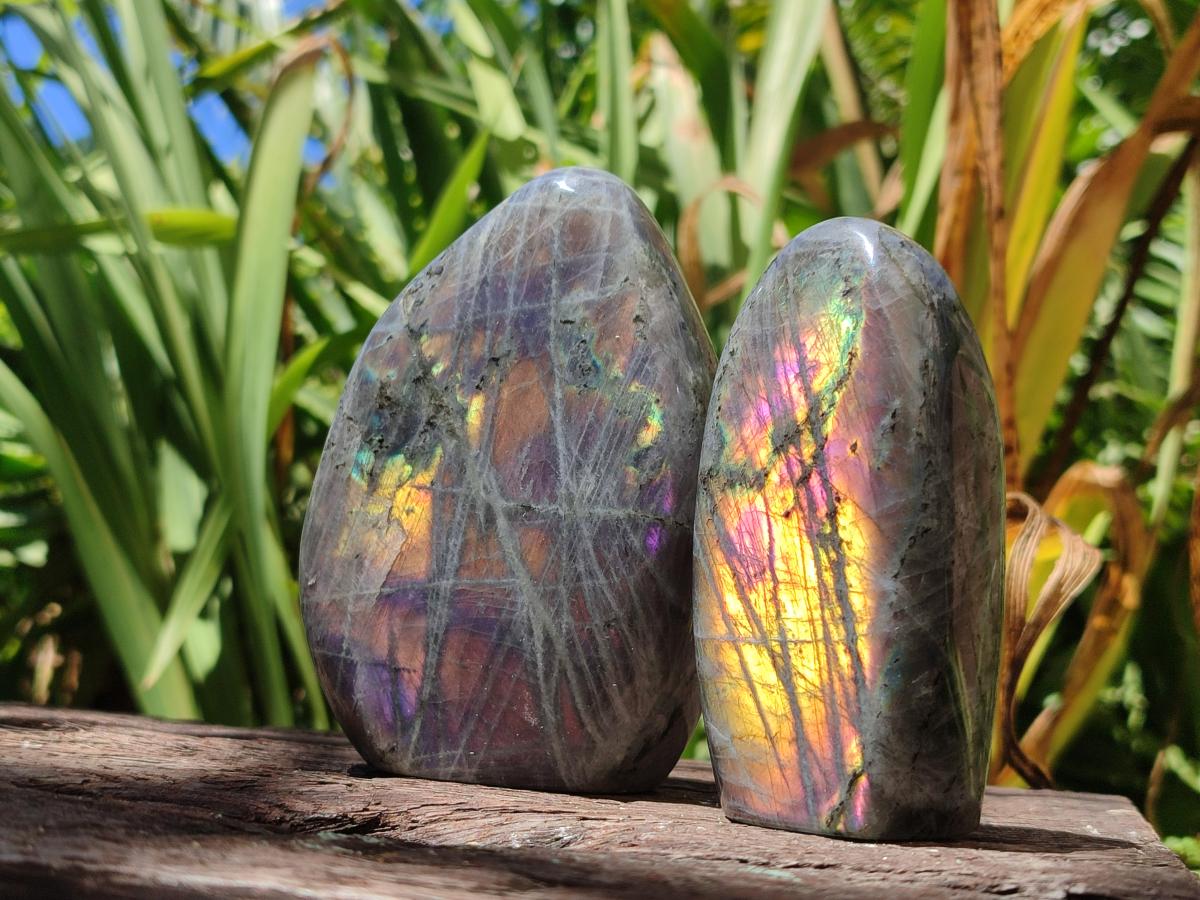 Polished Rare Purple Sunset Flash Labradorite Standing Free Forms x 3 From Madagascar - Toprock Gemstones and Minerals 
