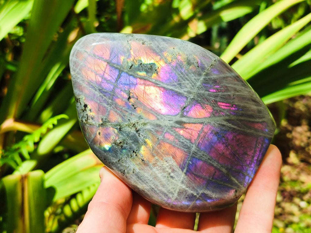 Polished Rare Purple Sunset Flash Labradorite Standing Free Forms x 3 From Madagascar - Toprock Gemstones and Minerals 