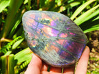 Polished Rare Purple Sunset Flash Labradorite Standing Free Forms x 3 From Madagascar - Toprock Gemstones and Minerals 