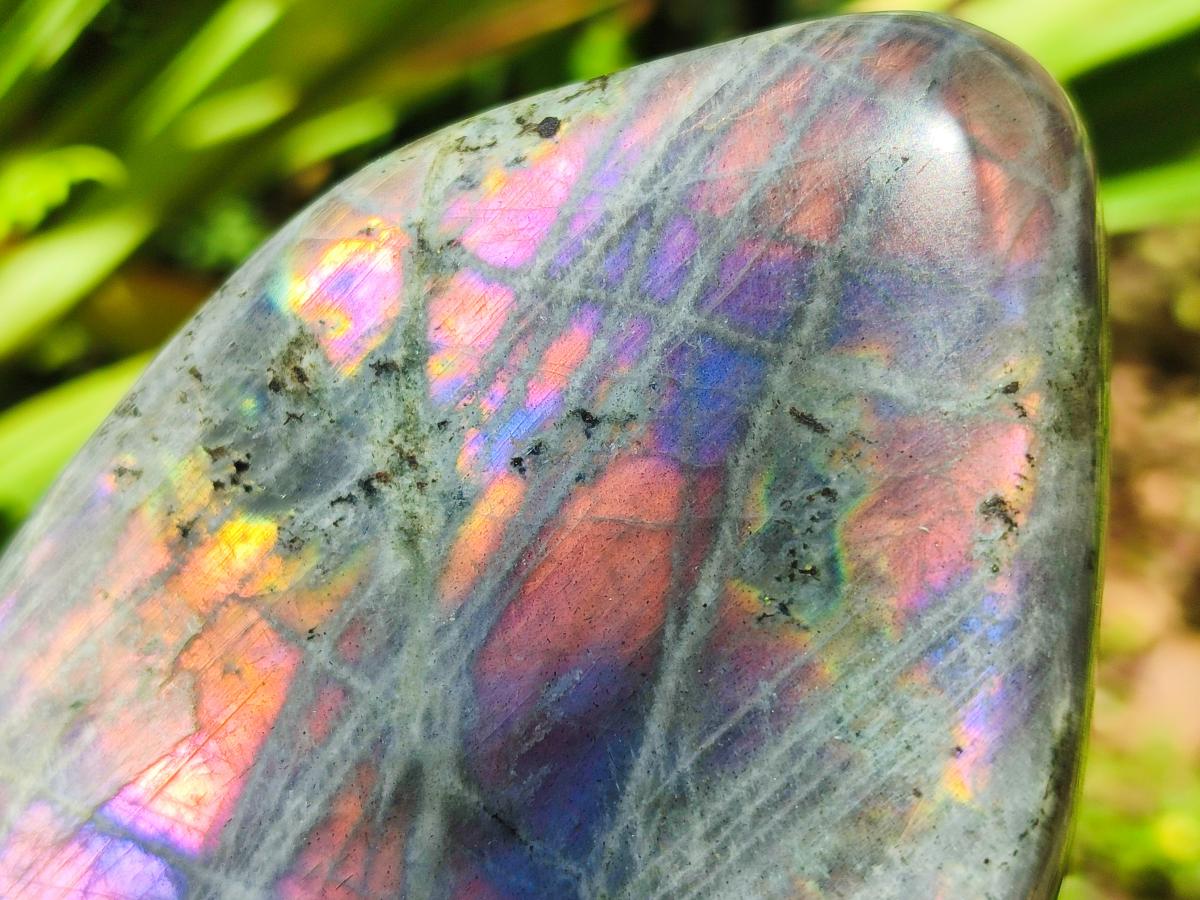 Polished Rare Purple Sunset Flash Labradorite Standing Free Forms x 3 From Madagascar - Toprock Gemstones and Minerals 