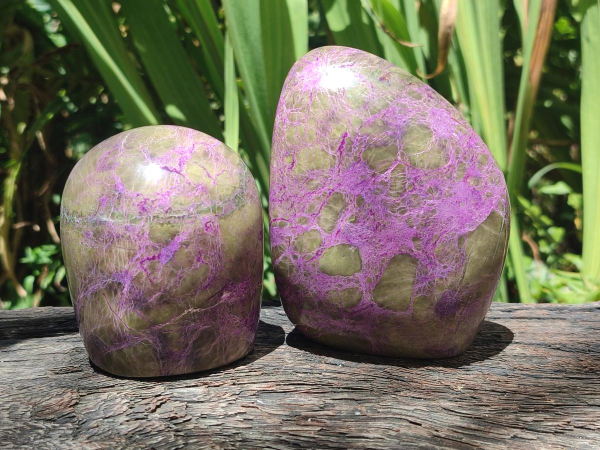 Polished Stichtite Standing Free Forms x 4 From Barberton, South Africa - Toprock Gemstones and Minerals 