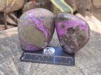 Polished Stichtite Standing Free Forms x 4 From Barberton, South Africa - Toprock Gemstones and Minerals 