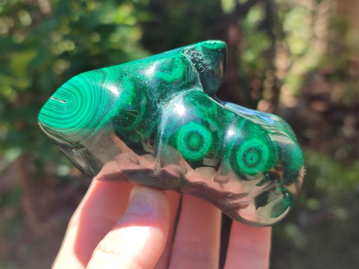 Polished Flower Banded Malachite Free Forms x 2 From Congo - Toprock Gemstones and Minerals 