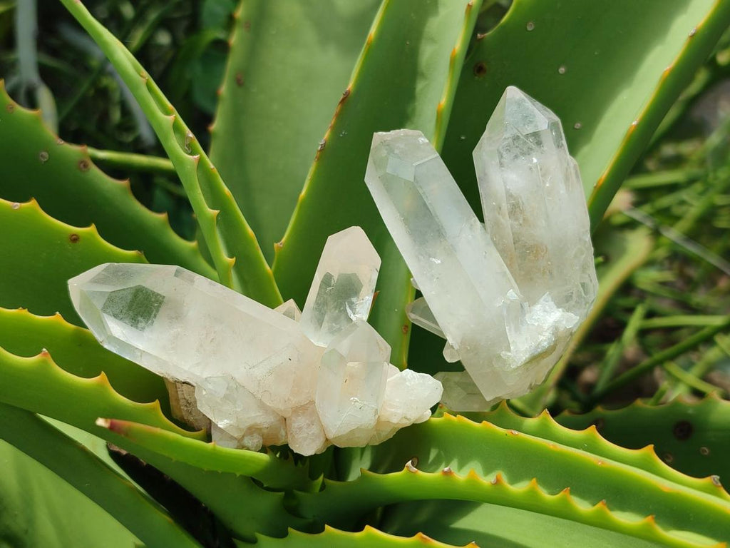 Natural Clear Quartz Crystal Clusters x 24 From Madagascar - Toprock Gemstones and Minerals 