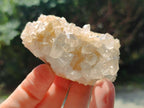 Natural Clear Quartz Crystal Clusters x 24 From Madagascar - Toprock Gemstones and Minerals 