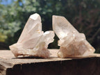Natural Clear Quartz Crystal Clusters x 24 From Madagascar - Toprock Gemstones and Minerals 