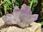 Natural Jacaranda Amethyst Crystal Clusters and Crystals x 12 From Mumbwa, Zambia - Toprock Gemstones and Minerals 