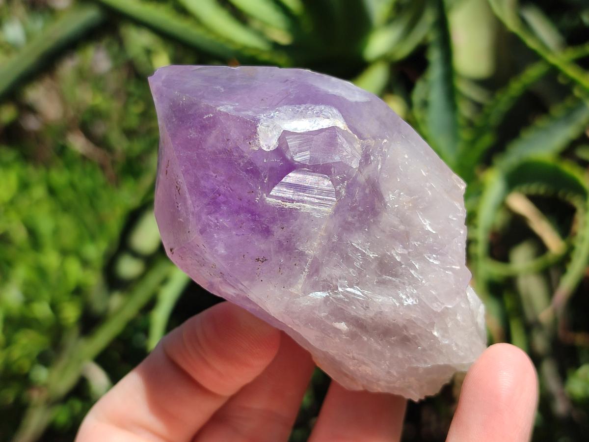 Natural Jacaranda Amethyst Crystal Clusters and Crystals x 12 From Mumbwa, Zambia - Toprock Gemstones and Minerals 