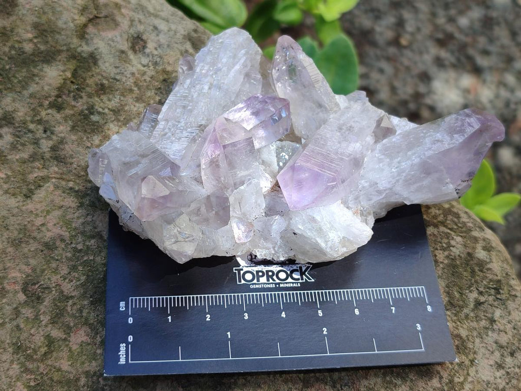 Natural Jacaranda Amethyst Crystal Clusters and Crystals x 12 From Mumbwa, Zambia - Toprock Gemstones and Minerals 