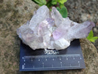 Natural Jacaranda Amethyst Crystal Clusters and Crystals x 12 From Mumbwa, Zambia - Toprock Gemstones and Minerals 