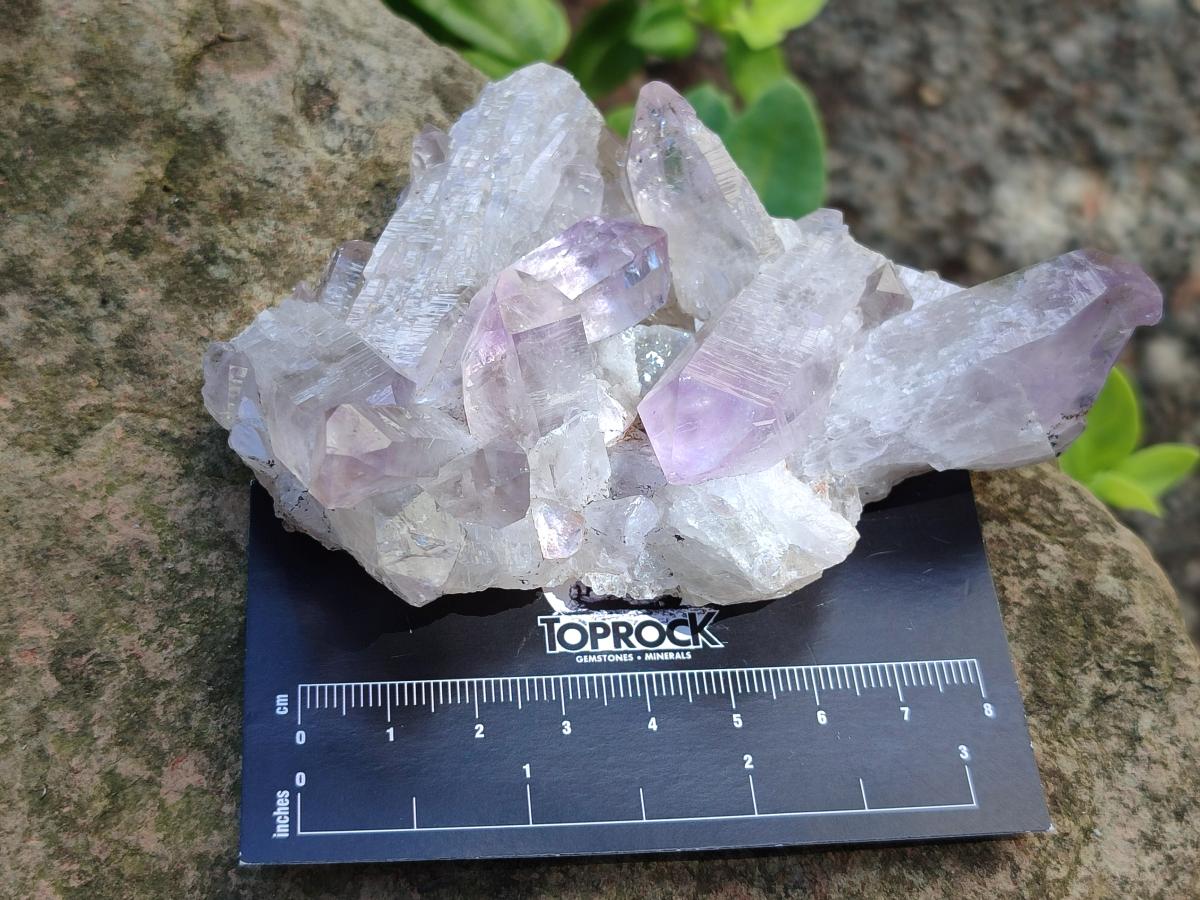 Natural Jacaranda Amethyst Crystal Clusters and Crystals x 12 From Mumbwa, Zambia - Toprock Gemstones and Minerals 