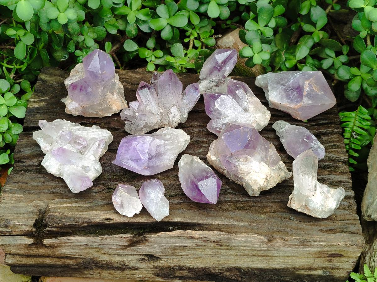 Natural Jacaranda Amethyst Crystal Clusters and Crystals x 12 From Mumbwa, Zambia - Toprock Gemstones and Minerals 