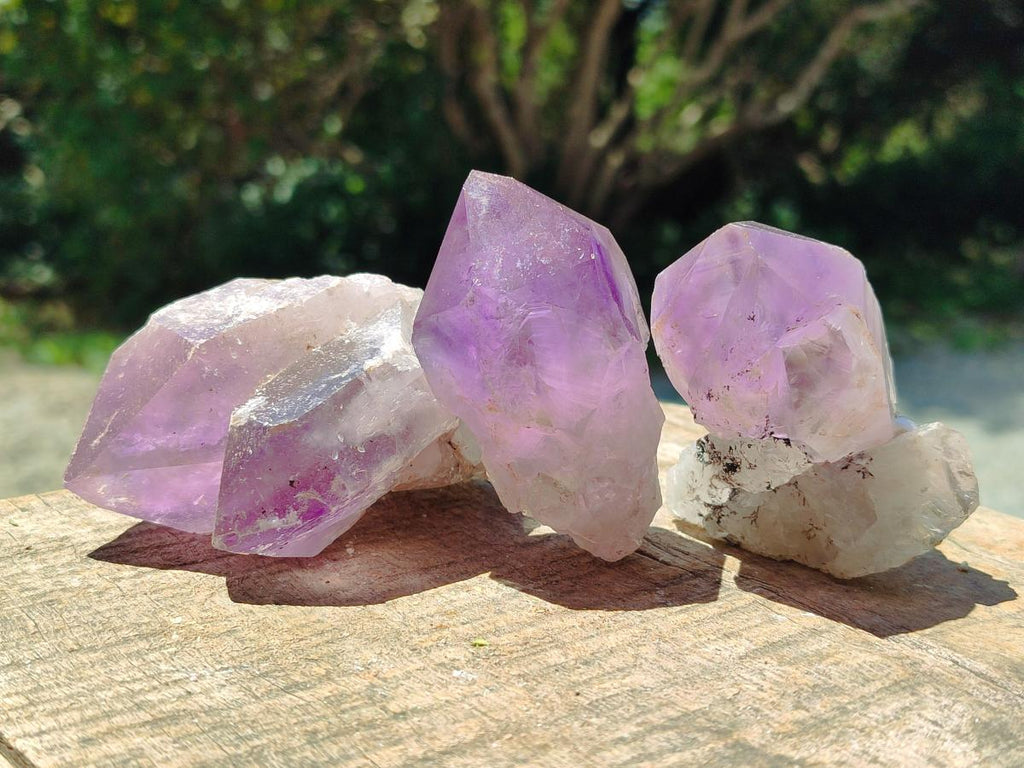 Natural Jacaranda Amethyst Crystal Clusters and Crystals x 12 From Mumbwa, Zambia - Toprock Gemstones and Minerals 