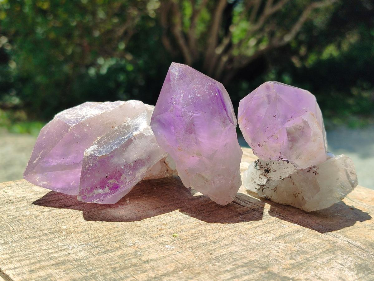 Natural Jacaranda Amethyst Crystal Clusters and Crystals x 12 From Mumbwa, Zambia - Toprock Gemstones and Minerals 