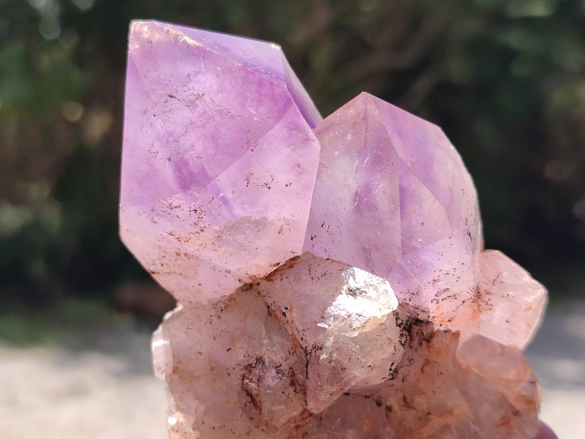Natural Jacaranda Amethyst Crystal Clusters and Crystals x 12 From Mumbwa, Zambia - Toprock Gemstones and Minerals 