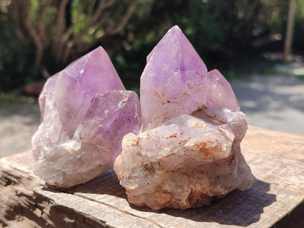 Natural Jacaranda Amethyst Crystal Clusters and Crystals x 12 From Mumbwa, Zambia - Toprock Gemstones and Minerals 