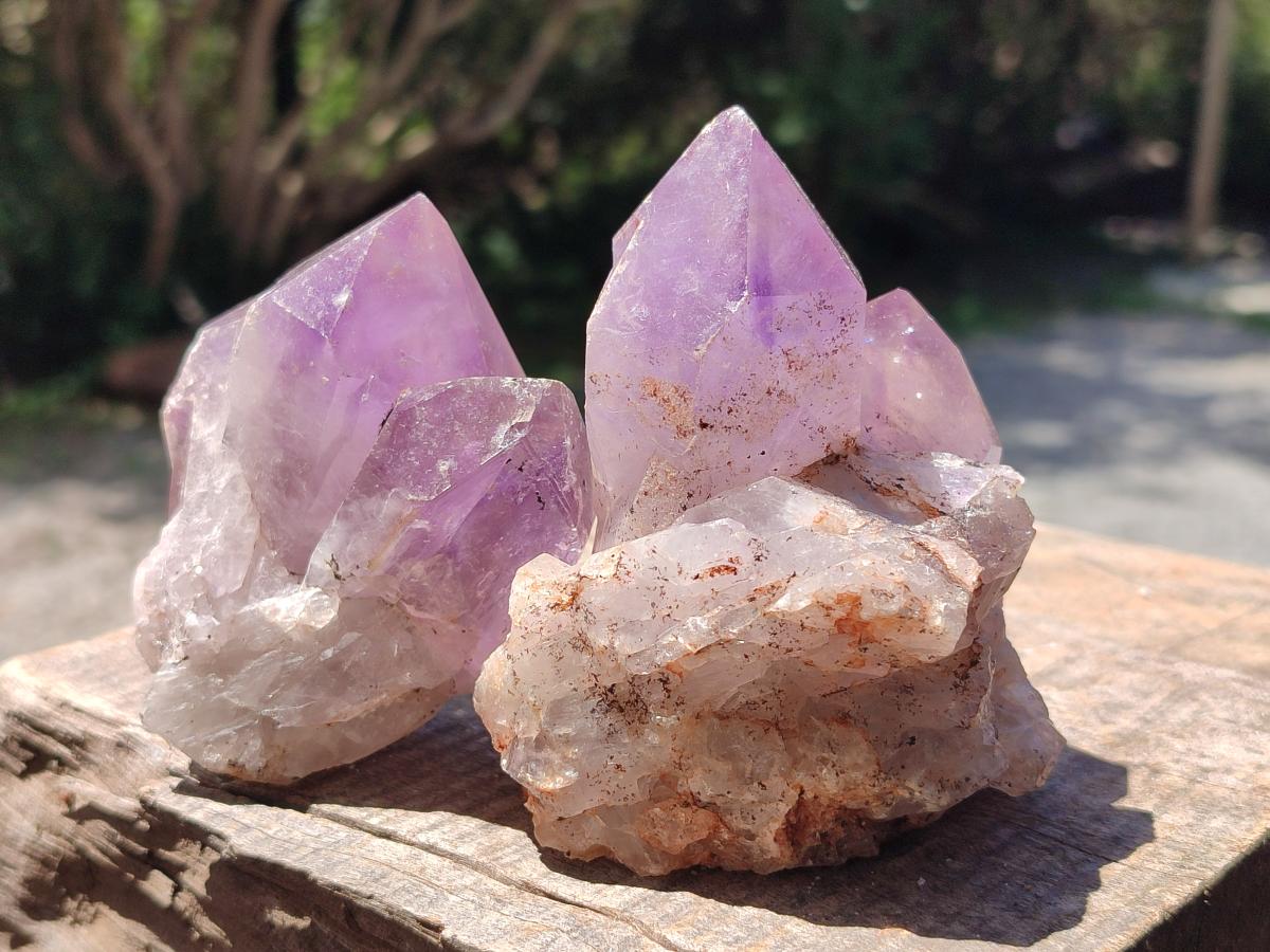 Natural Jacaranda Amethyst Crystal Clusters and Crystals x 12 From Mumbwa, Zambia - Toprock Gemstones and Minerals 