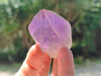 Natural Jacaranda Amethyst Crystal Clusters and Crystals x 12 From Mumbwa, Zambia - Toprock Gemstones and Minerals 
