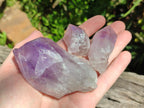 Natural Jacaranda Amethyst Crystal Clusters and Crystals x 12 From Mumbwa, Zambia - Toprock Gemstones and Minerals 