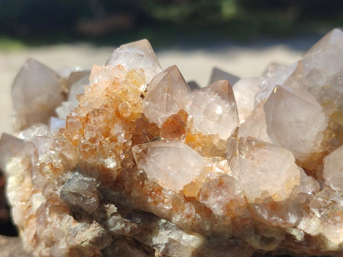 Natural Limonite Tinted Smokey Spirit Quartz Cluster x 1 From Boekenhouthoek, South Africa - Toprock Gemstones and Minerals 