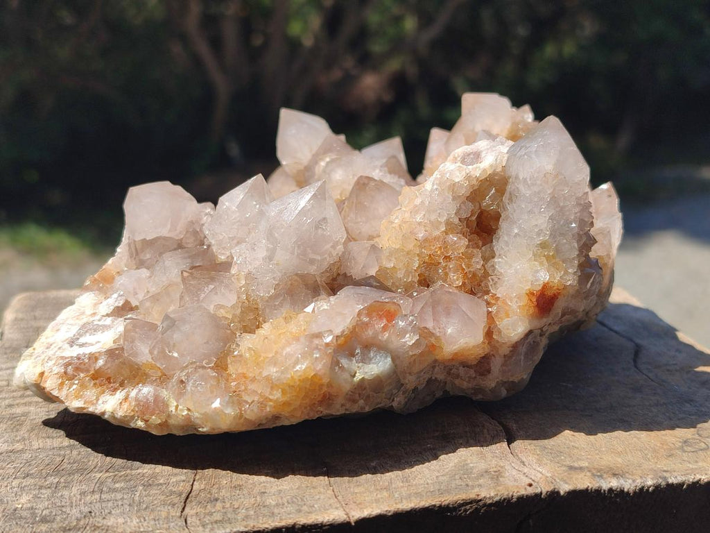 Natural Limonite Tinted Smokey Spirit Quartz Cluster x 1 From Boekenhouthoek, South Africa - Toprock Gemstones and Minerals 