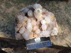 Natural Limonite Tinted Smokey Spirit Quartz Cluster x 1 From Boekenhouthoek, South Africa - Toprock Gemstones and Minerals 