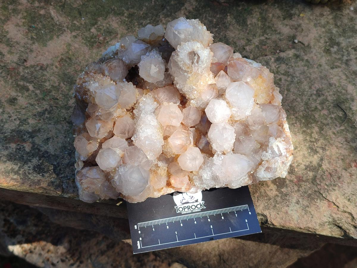 Natural Limonite Tinted Smokey Spirit Quartz Cluster x 1 From Boekenhouthoek, South Africa - Toprock Gemstones and Minerals 