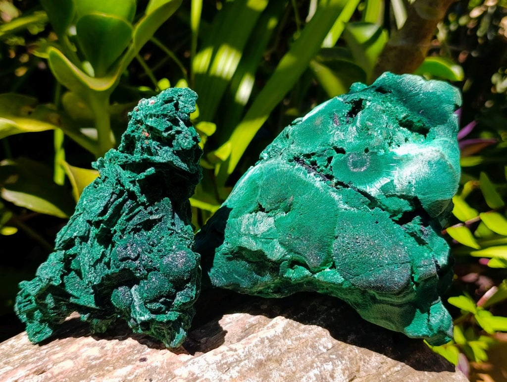 Natural Silky Malachite Specimens x 2 From Kasompe, Congo - Toprock Gemstones and Minerals 