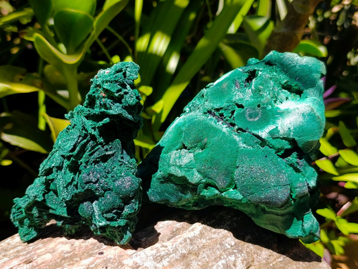 Natural Silky Malachite Specimens x 2 From Kasompe, Congo - Toprock Gemstones and Minerals 