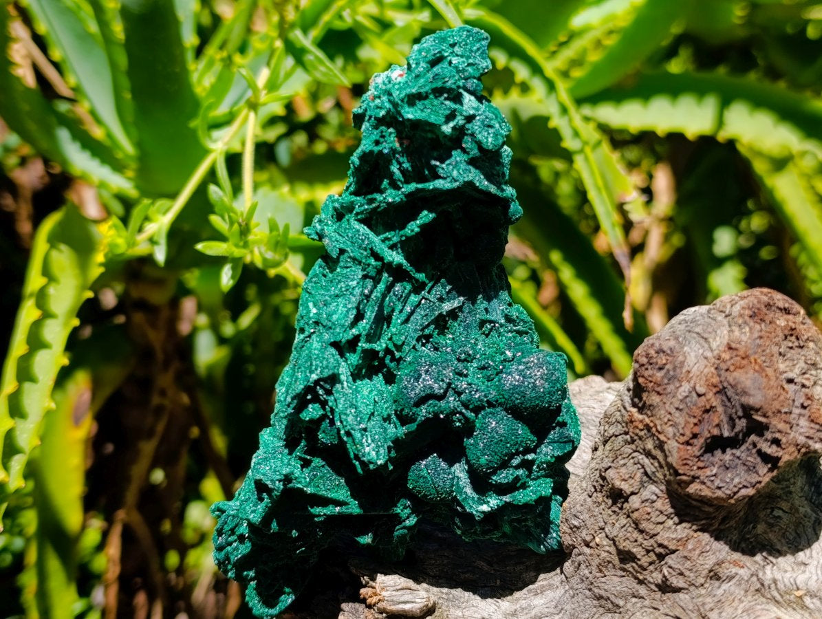 Natural Silky Malachite Specimens x 2 From Kasompe, Congo - Toprock Gemstones and Minerals 