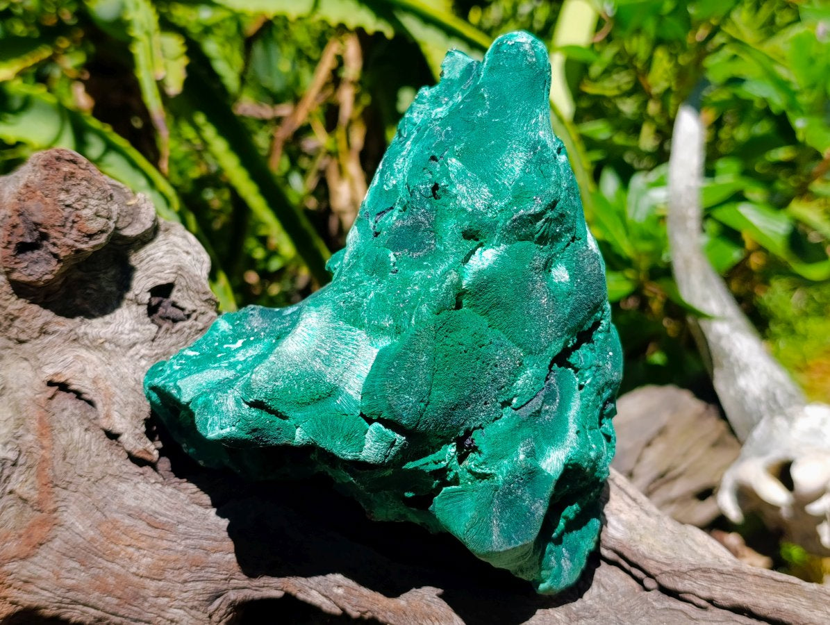 Natural Silky Malachite Specimens x 2 From Kasompe, Congo - Toprock Gemstones and Minerals 