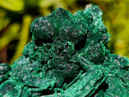 Natural Silky Malachite Specimens x 2 From Kasompe, Congo - Toprock Gemstones and Minerals 