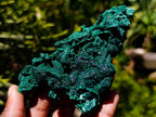 Natural Silky Malachite Specimens x 2 From Kasompe, Congo - Toprock Gemstones and Minerals 