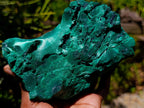 Natural Silky Malachite Specimens x 2 From Kasompe, Congo - Toprock Gemstones and Minerals 