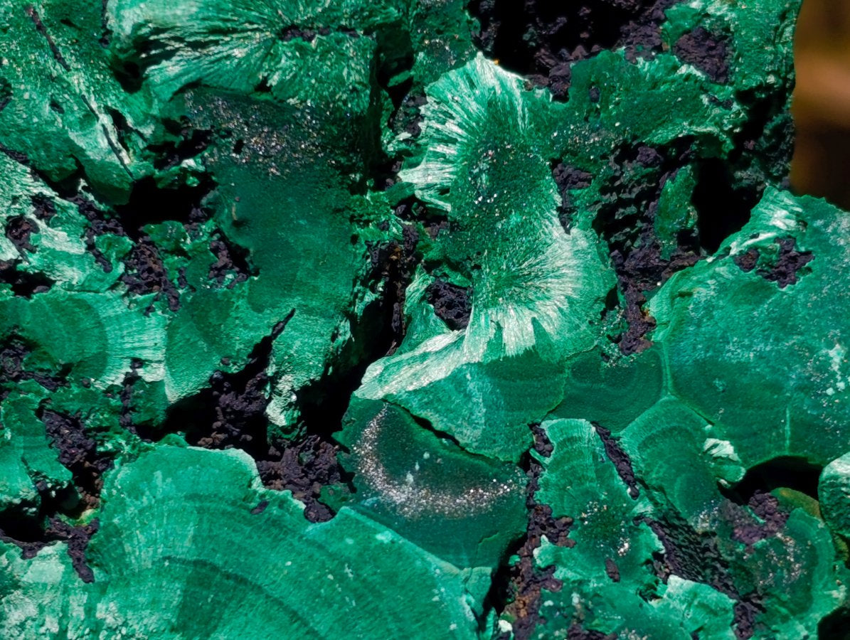 Natural Silky Malachite Specimens x 2 From Kasompe, Congo - Toprock Gemstones and Minerals 