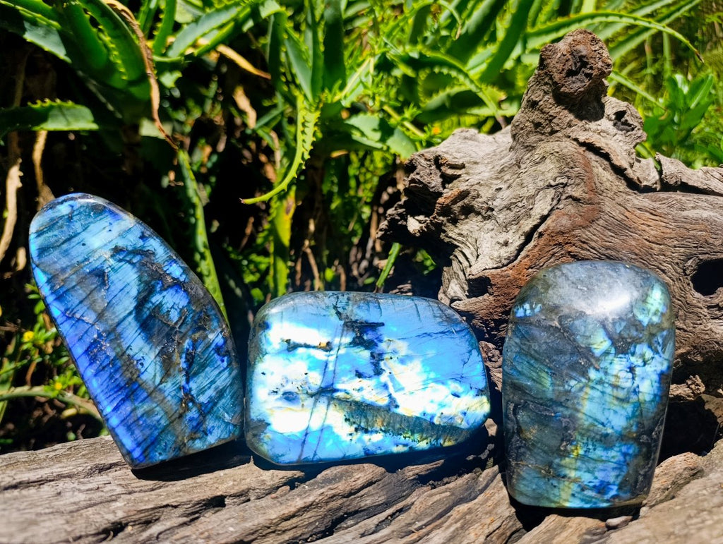 Polished Labradorite Standing Free Forms x 3 From Madagascar - Toprock Gemstones and Minerals 