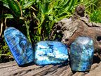 Polished Labradorite Standing Free Forms x 3 From Madagascar - Toprock Gemstones and Minerals 
