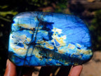 Polished Labradorite Standing Free Forms x 3 From Madagascar - Toprock Gemstones and Minerals 