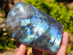 Polished Labradorite Standing Free Forms x 3 From Madagascar - Toprock Gemstones and Minerals 