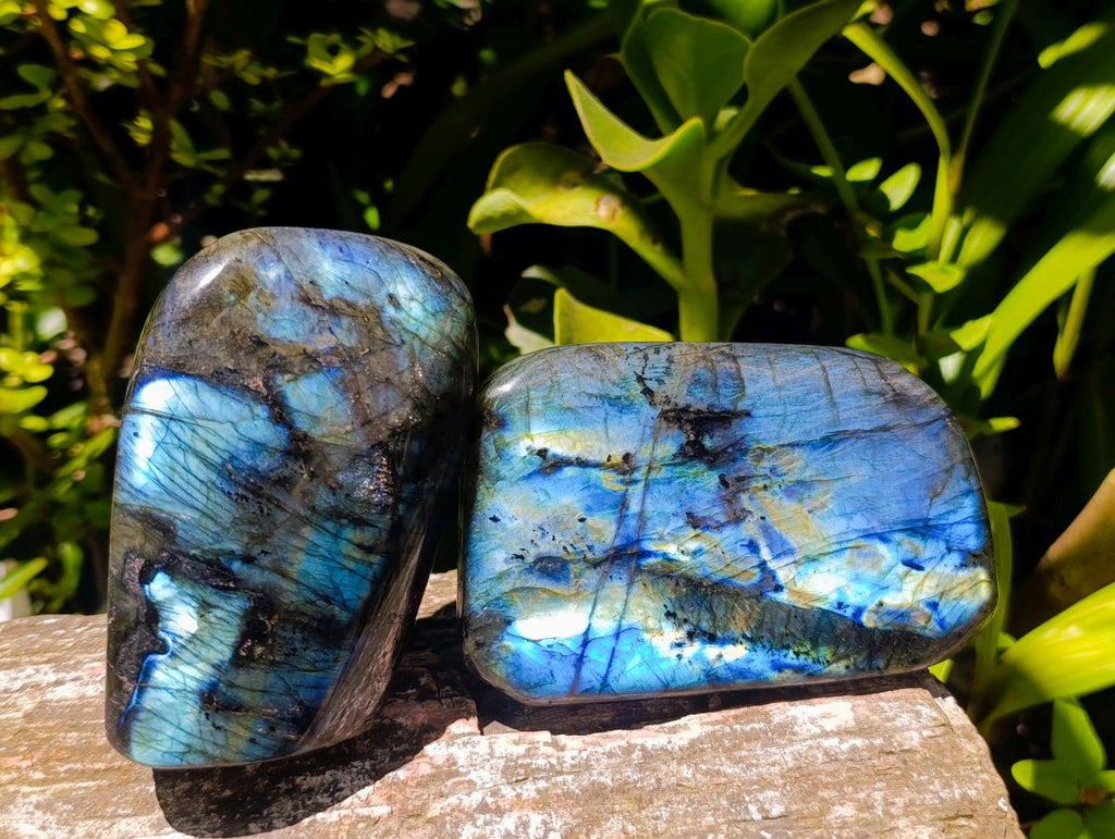 Polished Labradorite Standing Free Forms x 3 From Madagascar - Toprock Gemstones and Minerals 