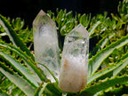 Polished Clear Quartz Display Crystals x 3 From Madagascar - Toprock Gemstones and Minerals 